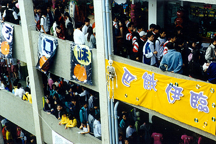 the students' activities